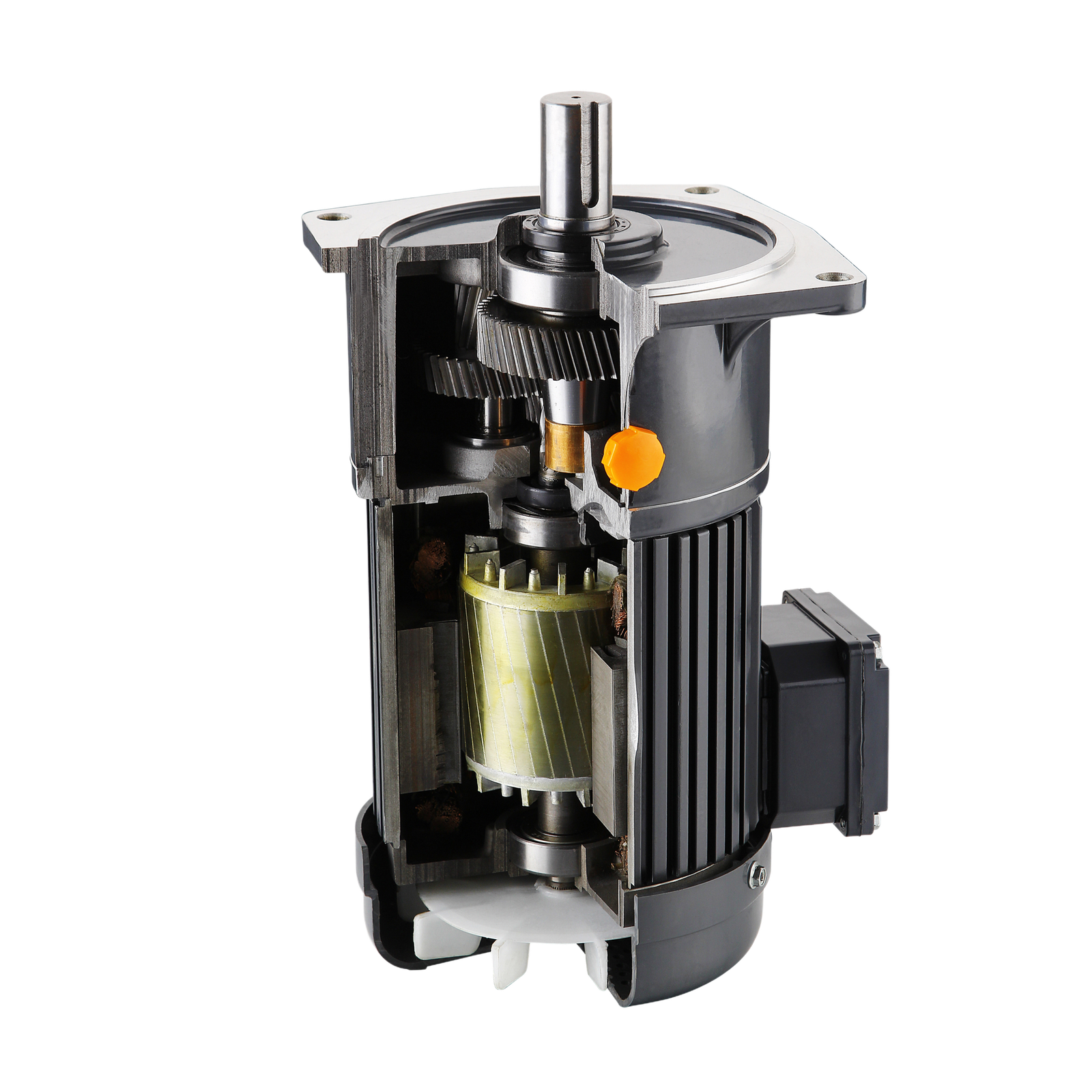 ⌀22 1/3Phase 100W-750W ⌀22 gv 1&3phase 100w 750w flange mounted gearmotor (brake optional) v (2)