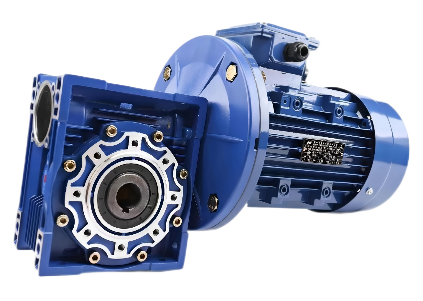 nmrv+ac motor