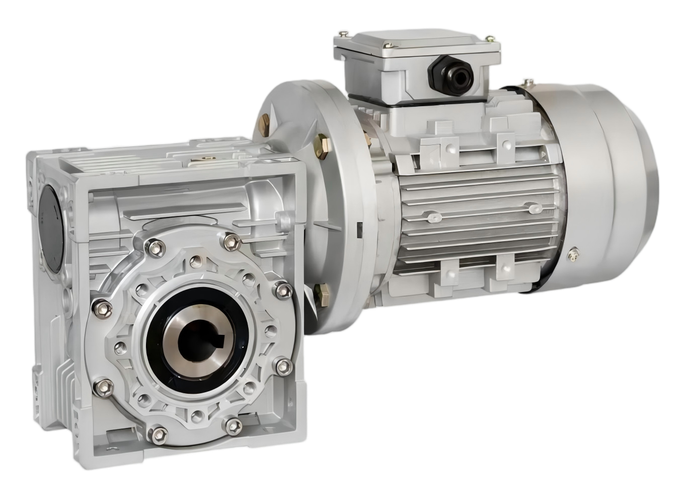 nmrv+ac motor(2)