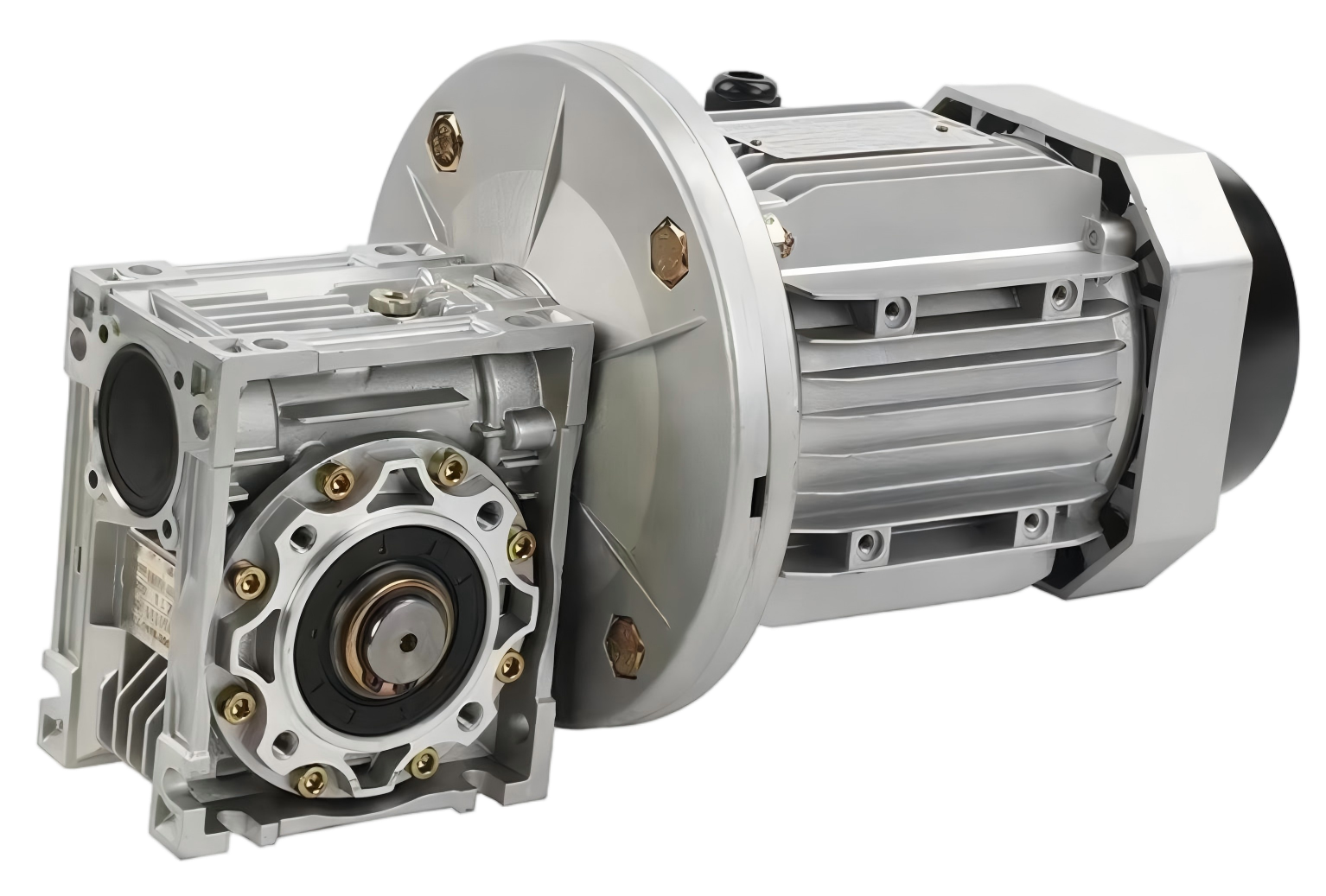 nmrv+ac motor(4)